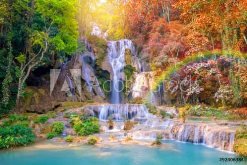 Picture of Waterfall in rain forest Tat Kuang Si Waterfalls at Laos